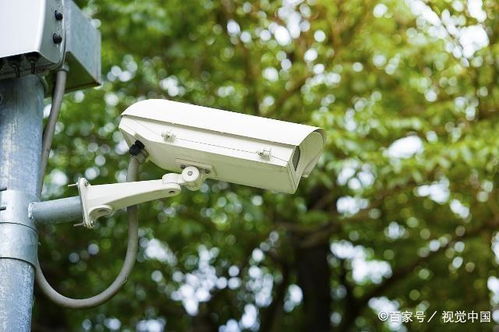 如何選擇與配置專業的安防監控系統與服務